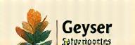 Geyser Flora Logo
